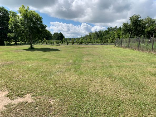 Treehouse Nursery: 3750 Thomas Sumter Hwy, Dalzell, SC 29040